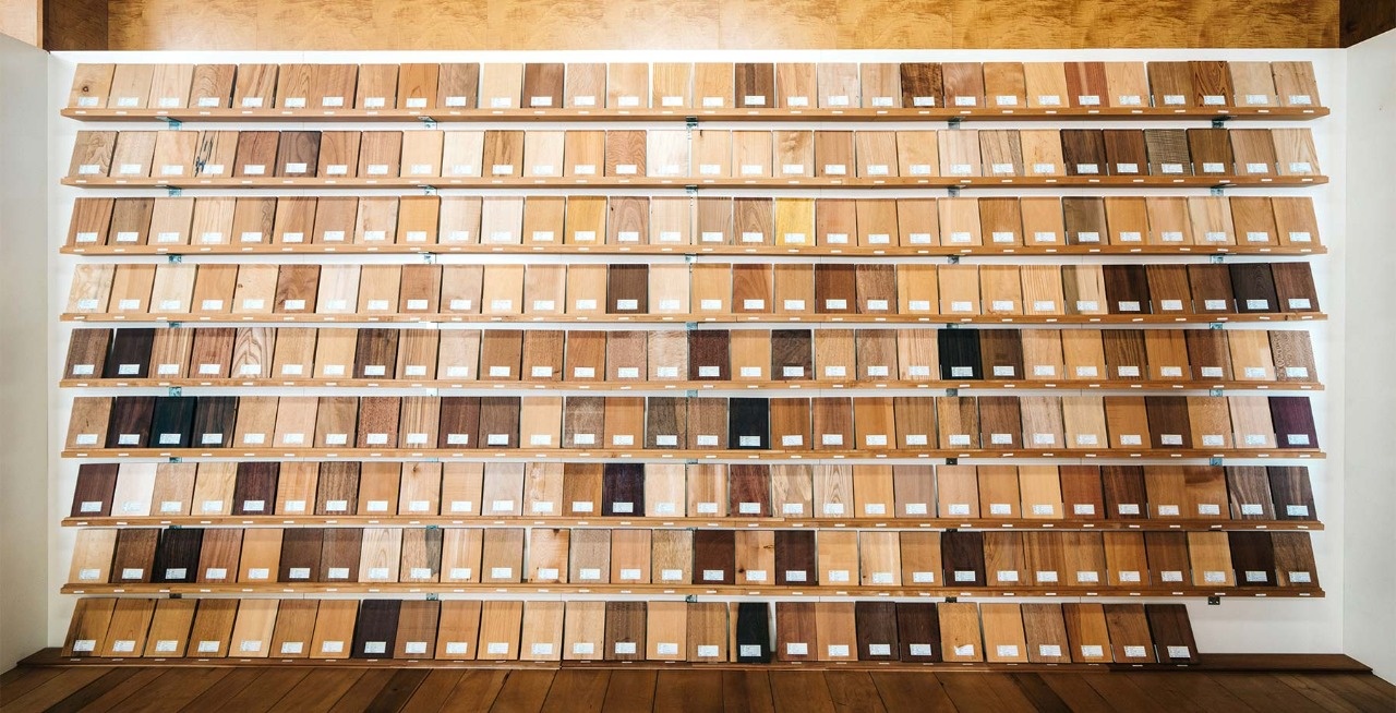 壁一面に展示している木材見本「森の文庫本」