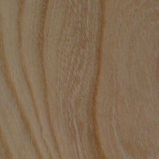 欅（ケヤキ）｜無垢材・一枚板天板在庫情報 | 高田製材所