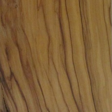 木目が珍しい樹種 取扱木材一覧 高田製材所