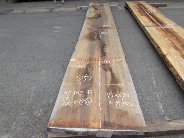 魚梁瀬杉（ヤナセスギ）　一枚板