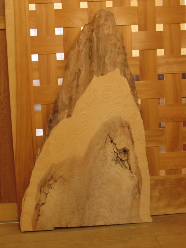 杉（スギ）　一枚板