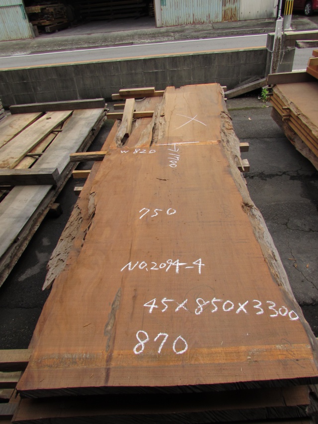 屋久杉（ヤクスギ）　一枚板