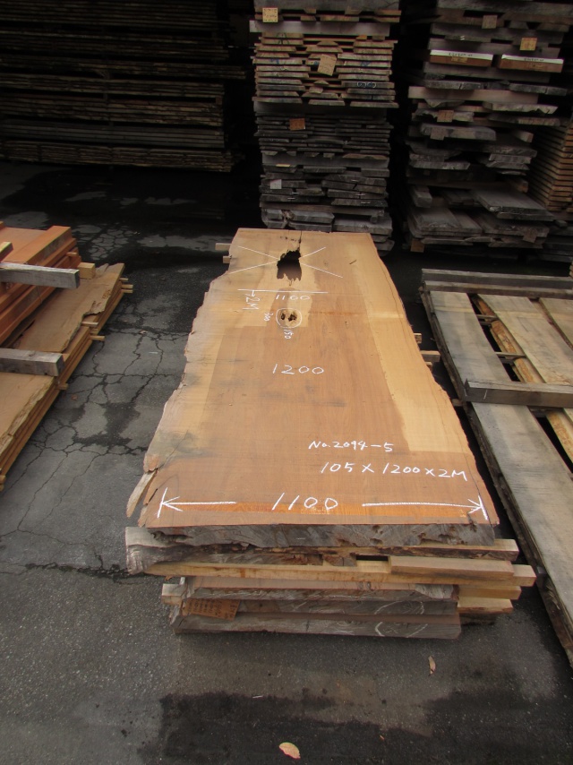 屋久杉（ヤクスギ）　一枚板