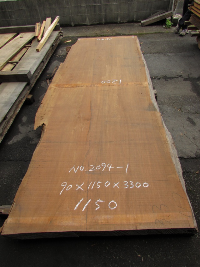 屋久杉（ヤクスギ）　一枚板