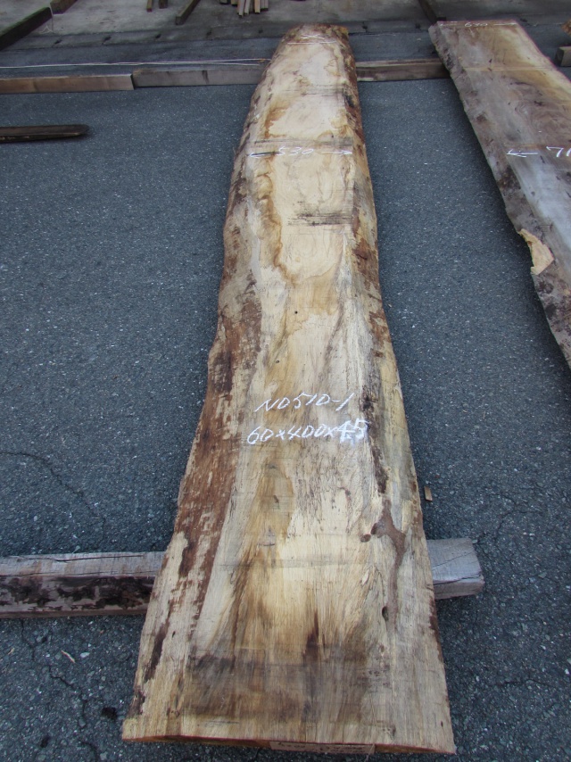 ゼブラノ　一枚板