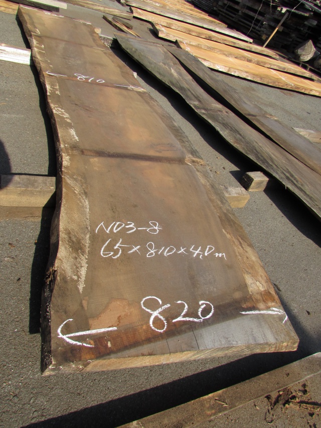 肥松（コエマツ）　一枚板