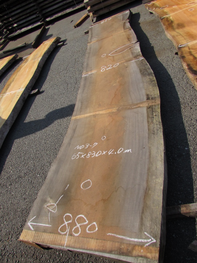 肥松（コエマツ）　一枚板