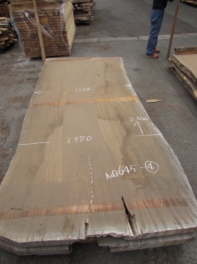 モンキーポッド　一枚板