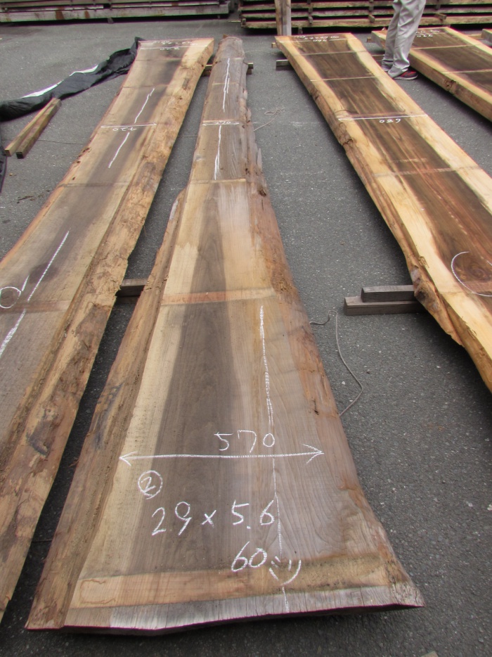 杉（スギ）　一枚板