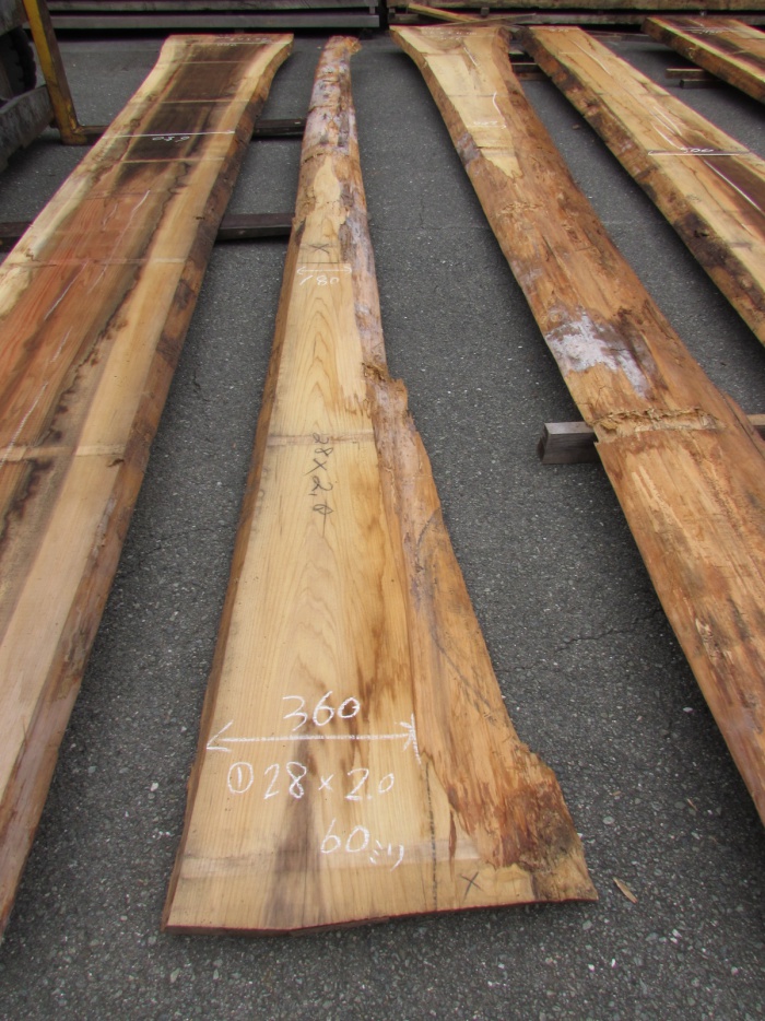 杉（スギ）　一枚板