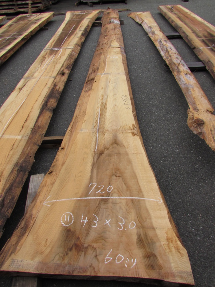 杉（スギ）　一枚板