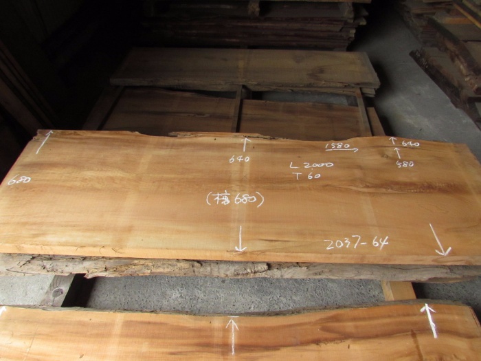 屋久杉（ヤクスギ）　一枚板