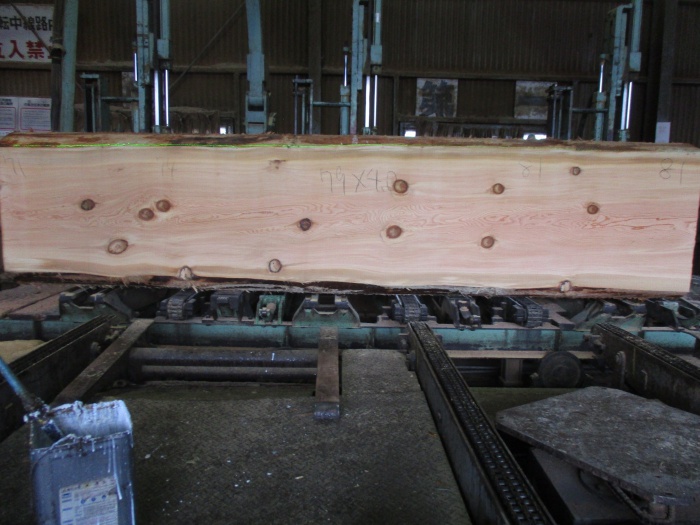 米松（ベイマツ）　一枚板