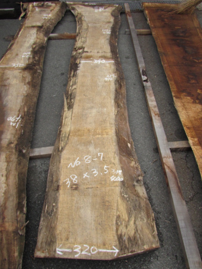 モンキーポッド　一枚板