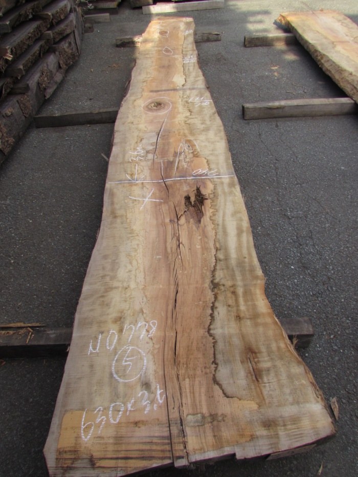 栃（トチ）　一枚板