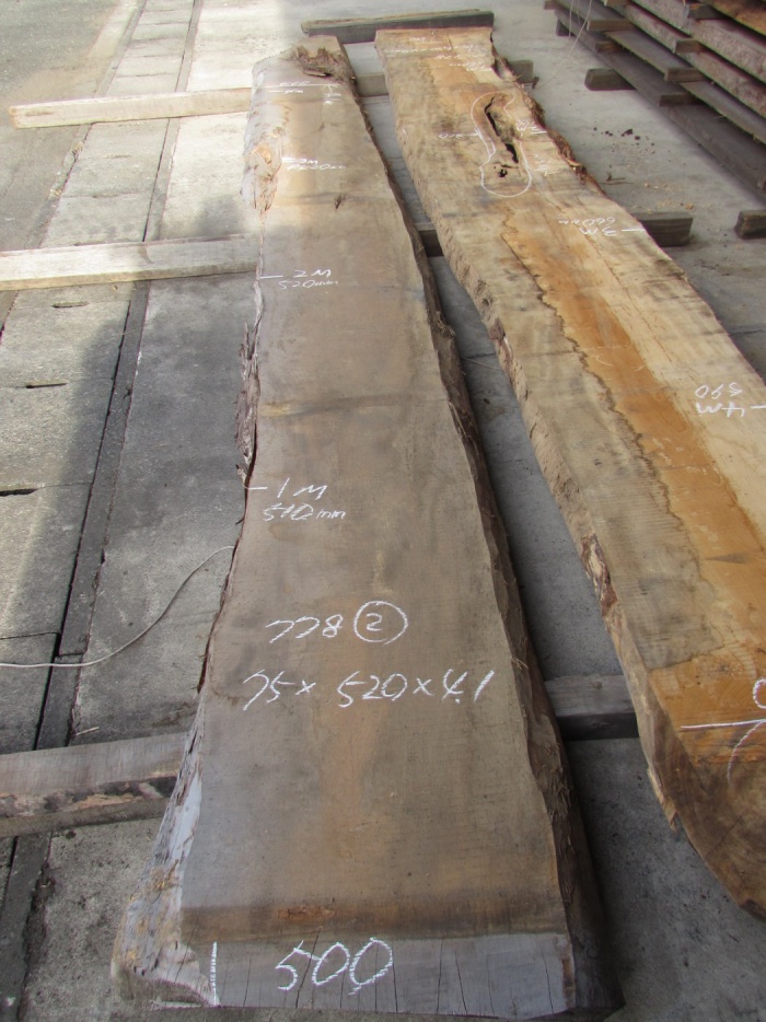 栃（トチ）　一枚板