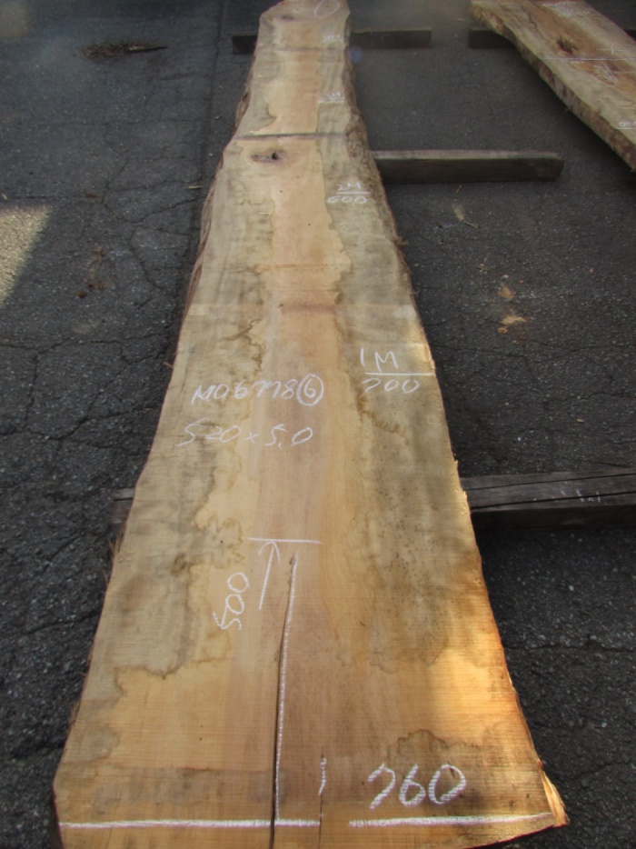 栃（トチ）　一枚板