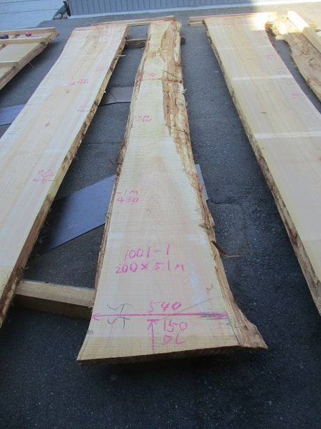 檜（ヒノキ）　一枚板