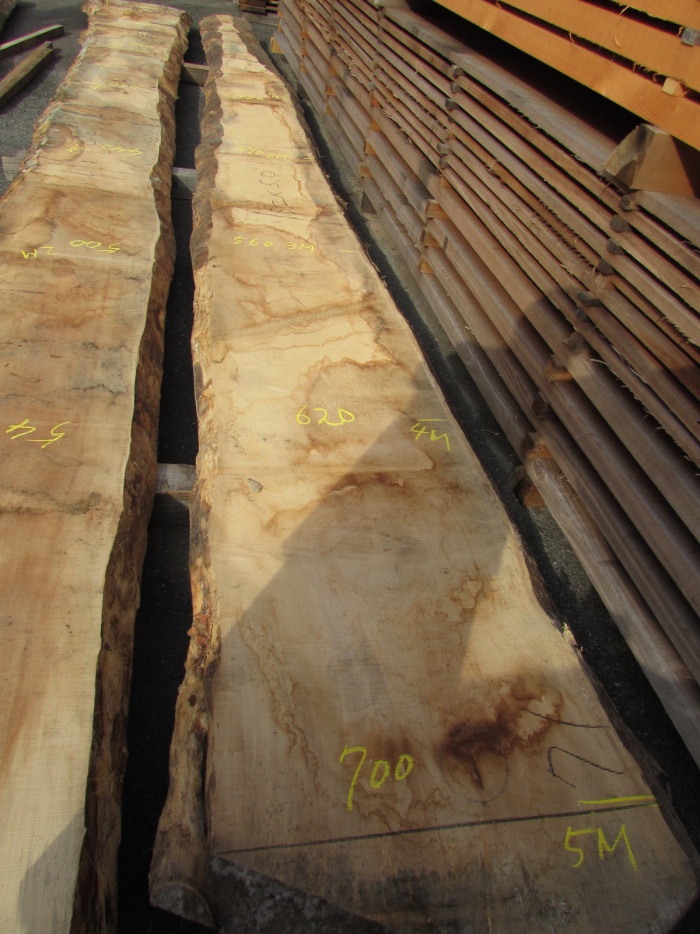 ヨーロピアンメープル　一枚板