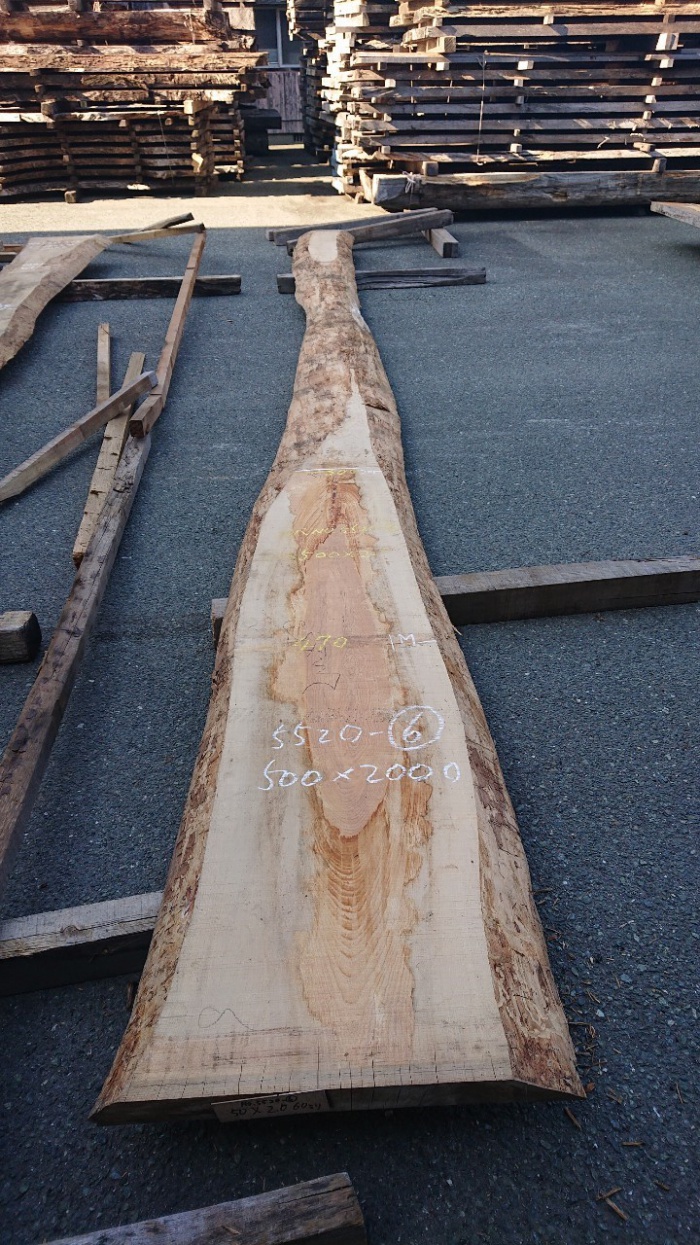 真樺（マカバ）　一枚板