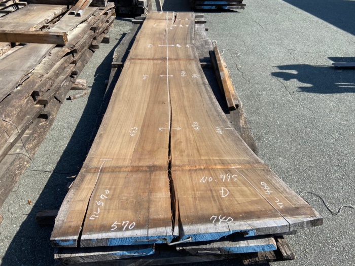 モンキーポッド　一枚板