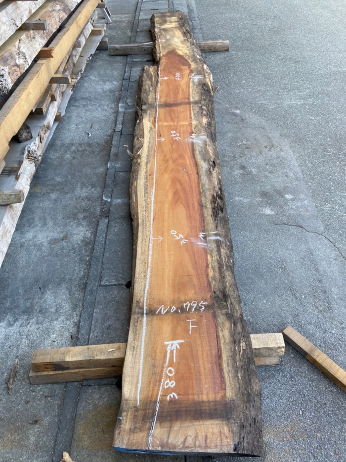 モンキーポッド　一枚板