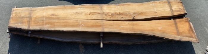 モンキーポッド　一枚板