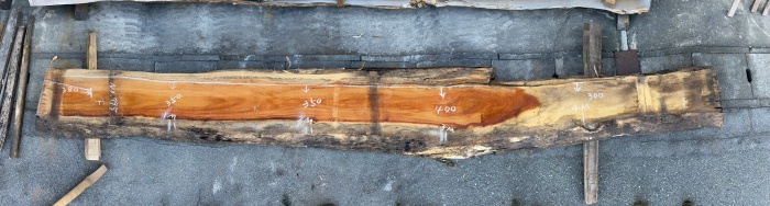 モンキーポッド　一枚板