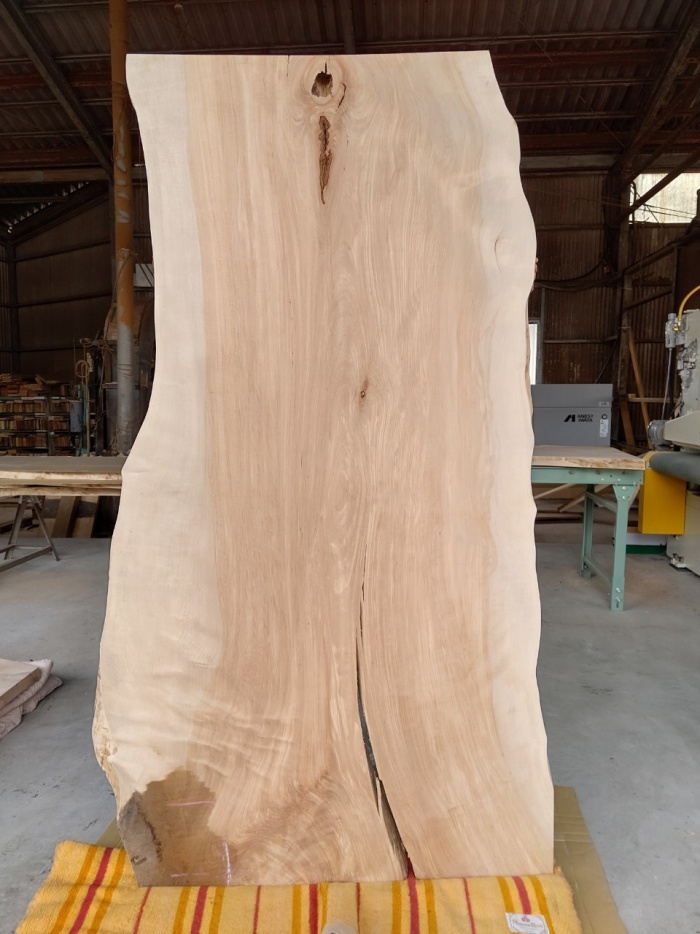 樺（カバ）　一枚板