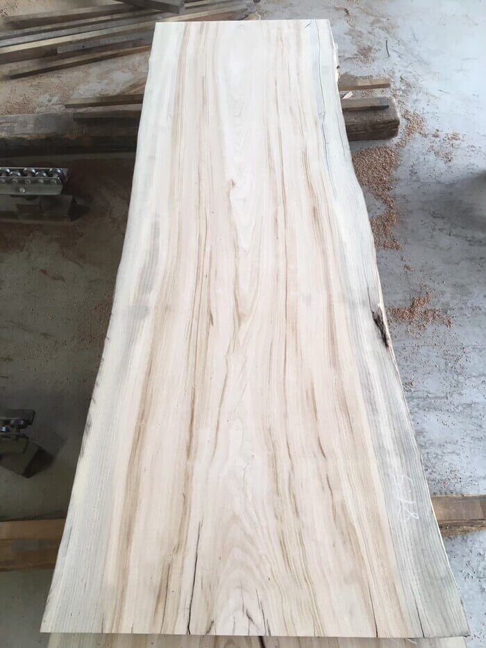 クス　無垢一枚板