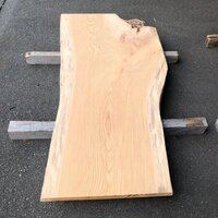 欅（ケヤキ） NO.T8615