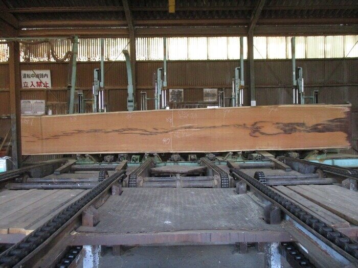 ウエンジ　無垢一枚板