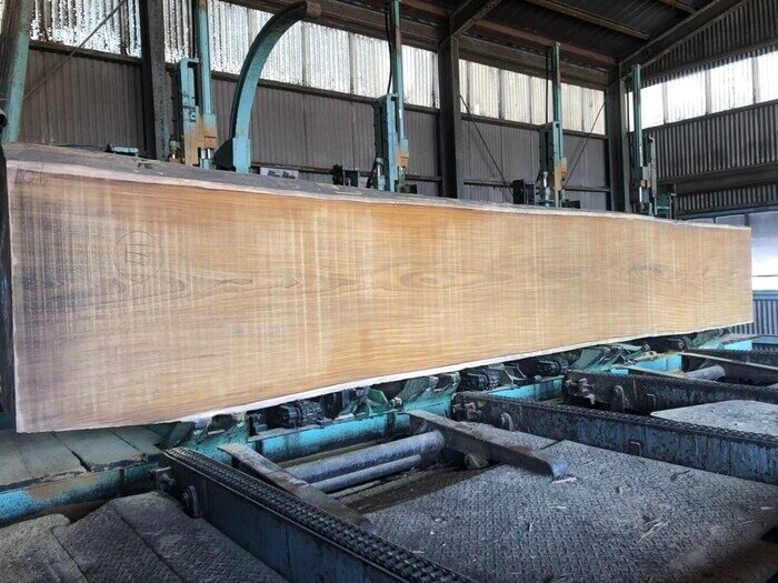 アサメラ 無垢一枚板