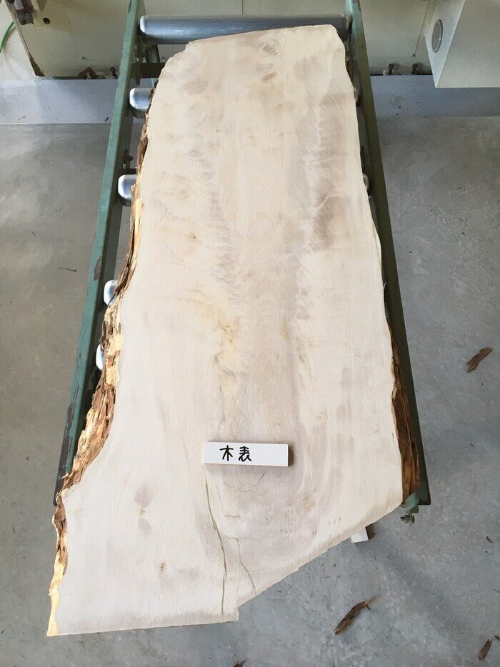 栃（トチ）一枚板