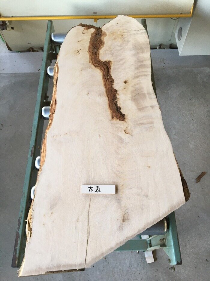 栃（トチ）一枚板