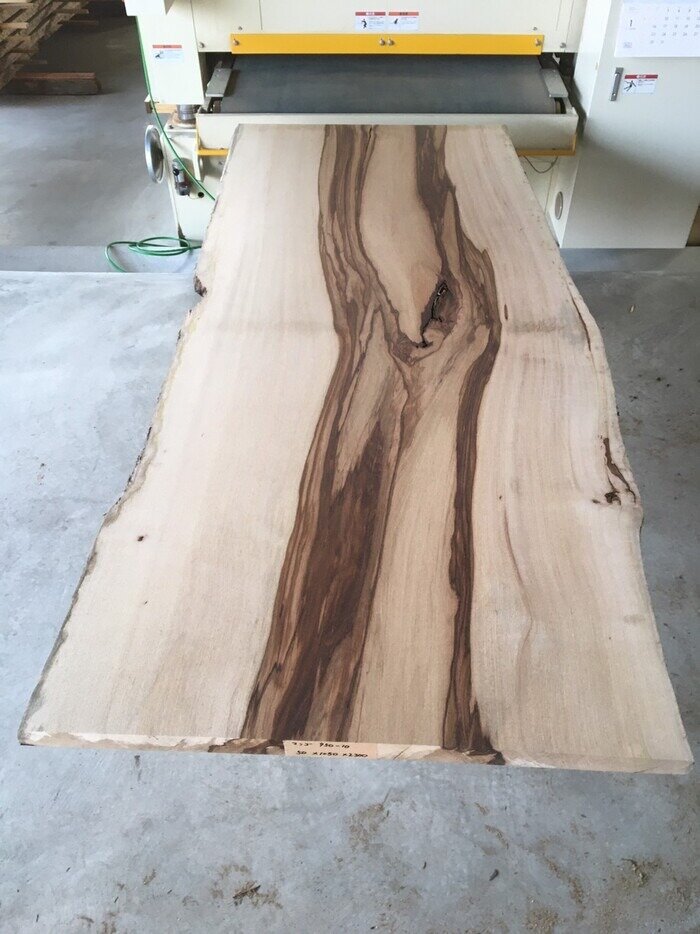 マンゴ　一枚板天板