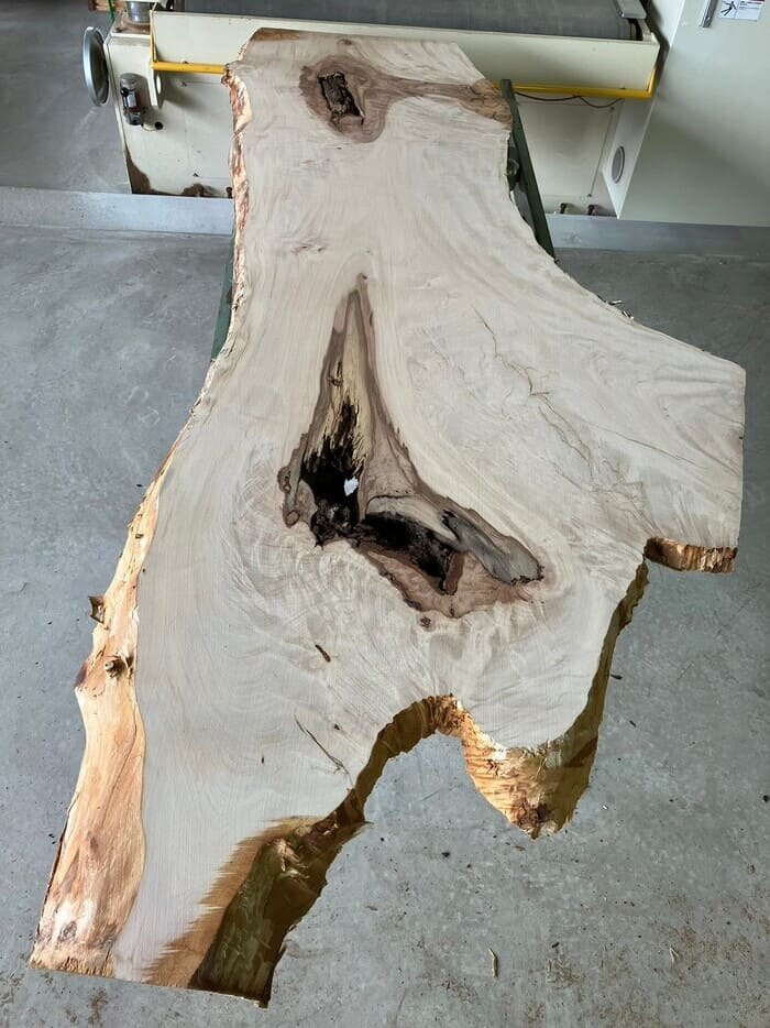 栃（トチ）一枚板