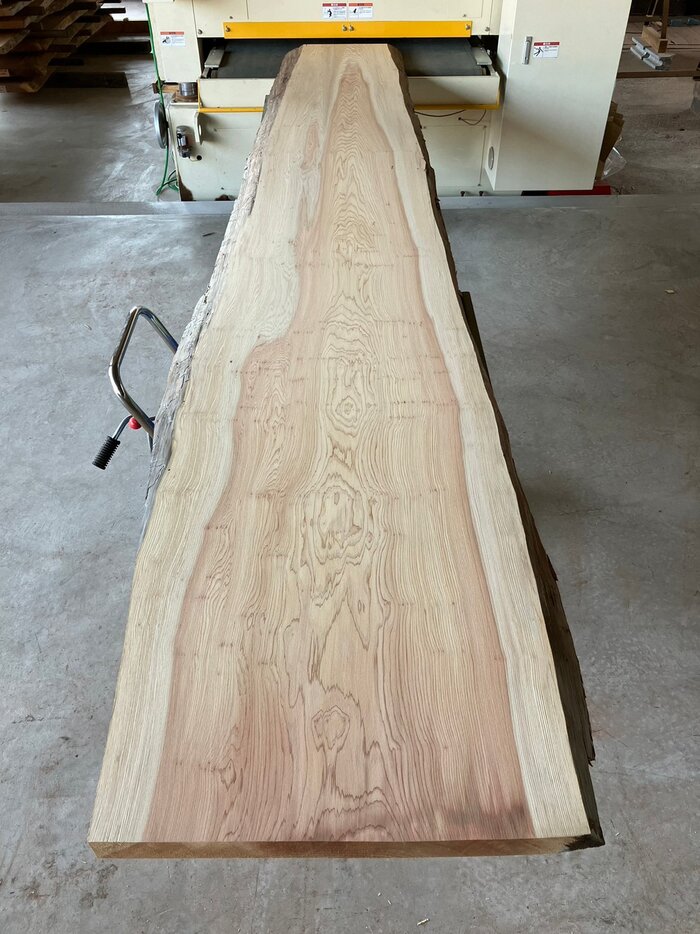 杉（スギ）　一枚板