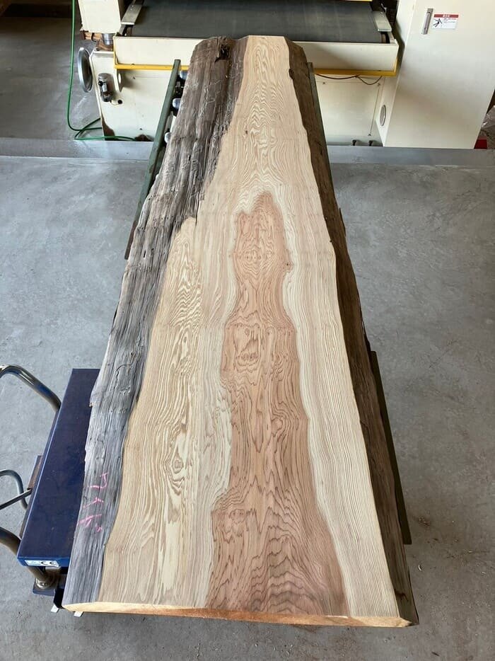 杉（スギ）　一枚板