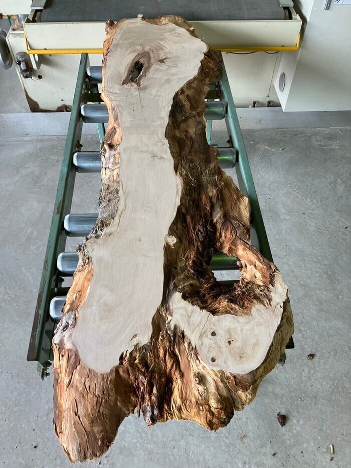 栃（トチ）一枚板