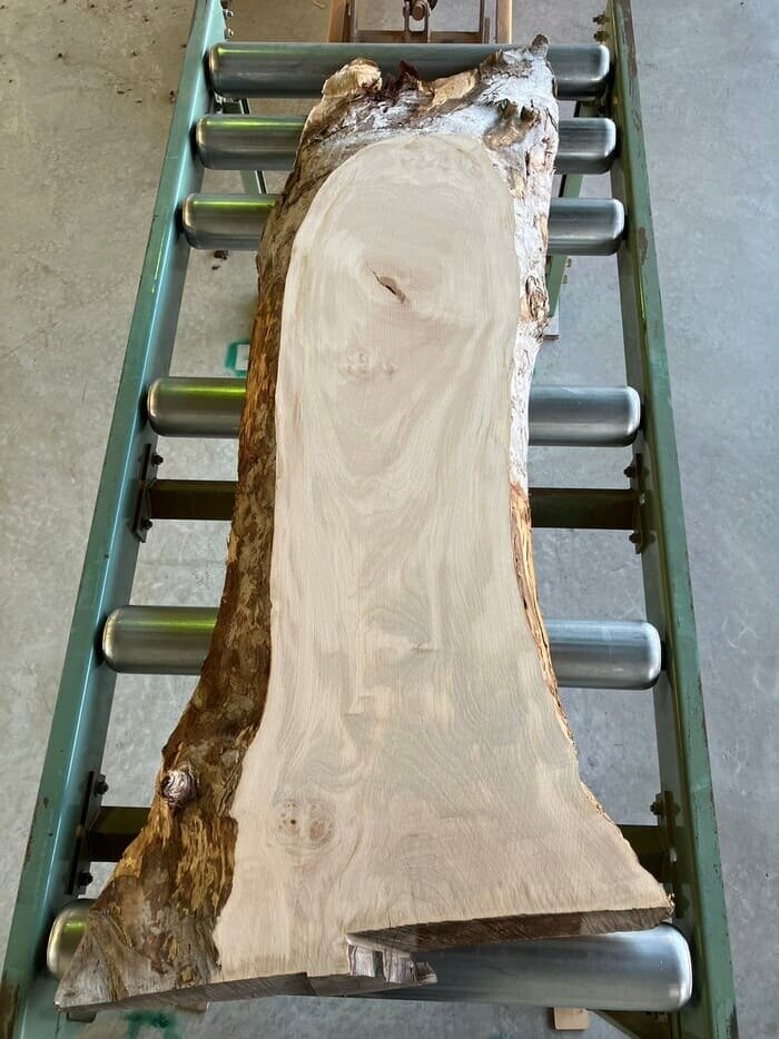 栃（トチ）一枚板