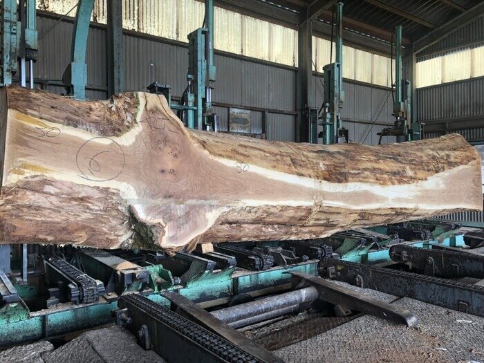 一枚板　楢（ナラ）