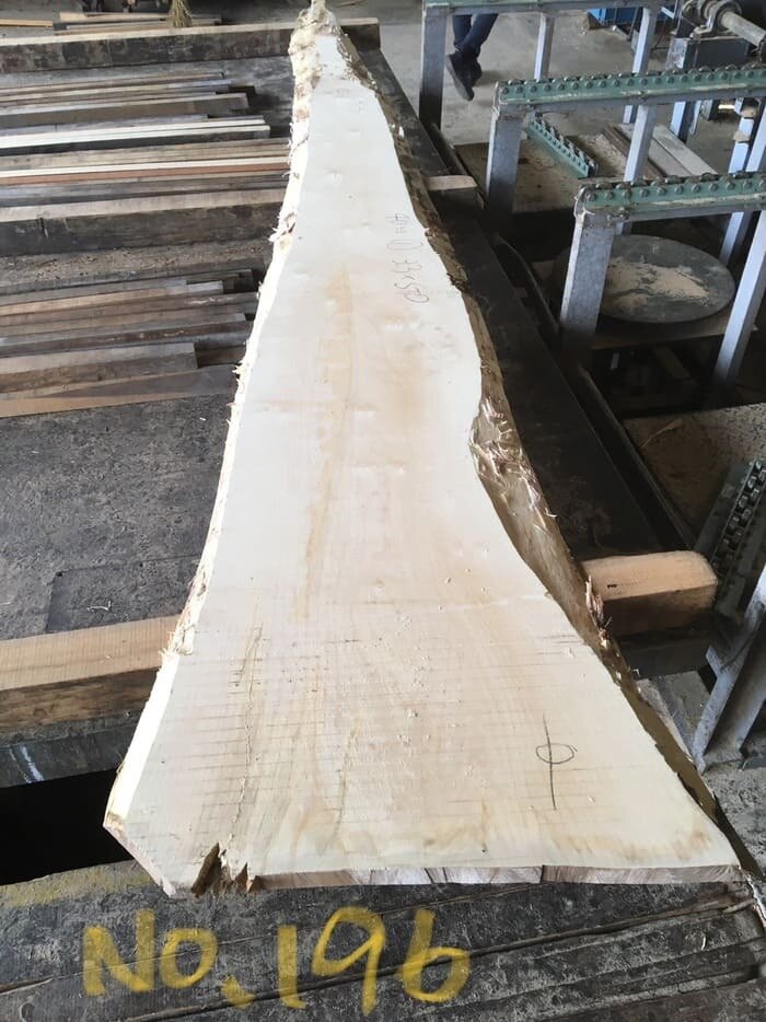 一枚板　銀杏（イチョウ）