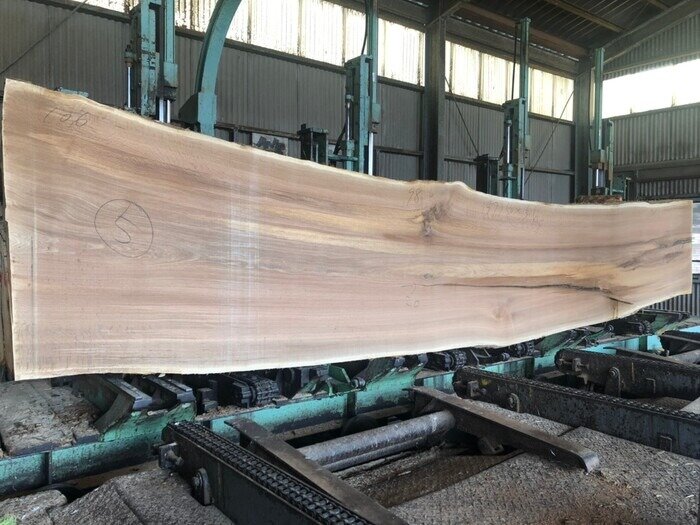 一枚板　楢（ナラ）