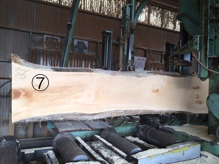 一枚板　銀杏（イチョウ）