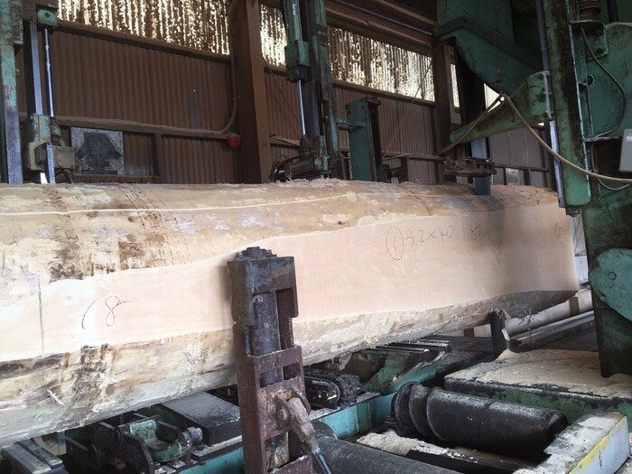 一枚板　銀杏（イチョウ）