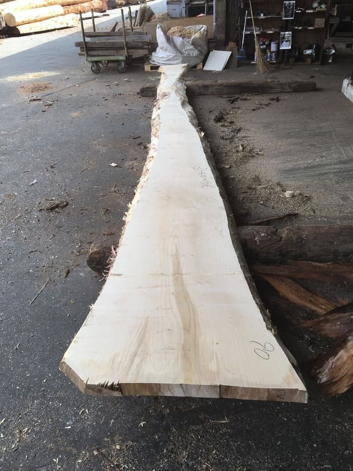 一枚板　銀杏（イチョウ）