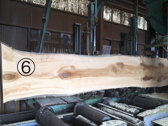 一枚板　銀杏（イチョウ）