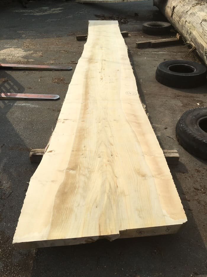 一枚板　銀杏（イチョウ）