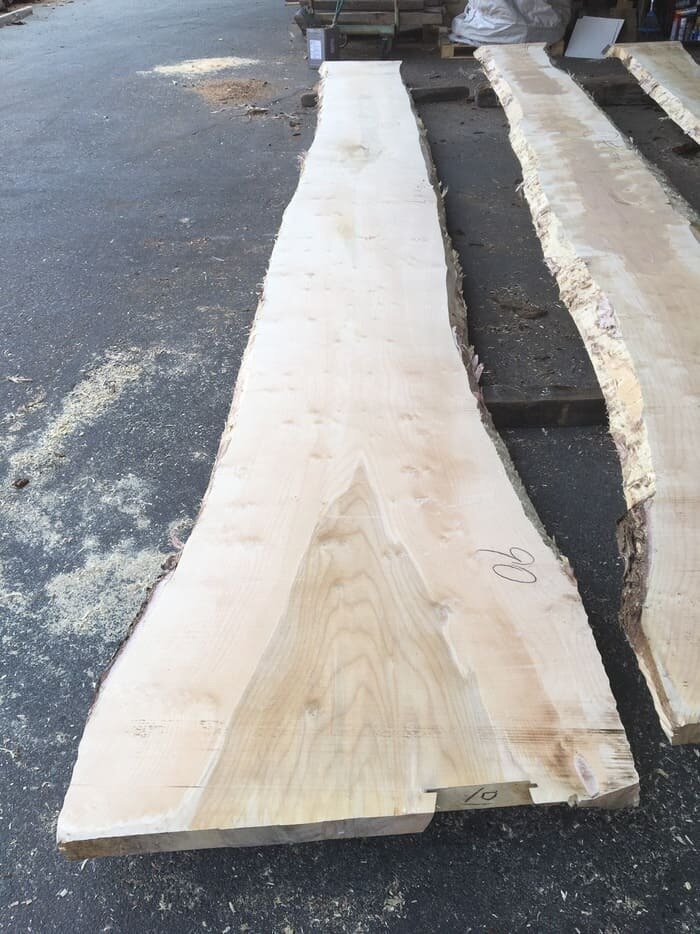 一枚板　銀杏（イチョウ）